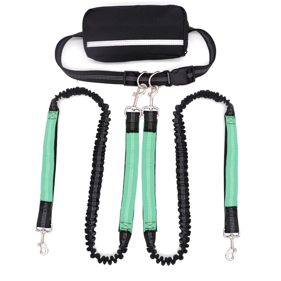 Hands-free Double Dog Leash best