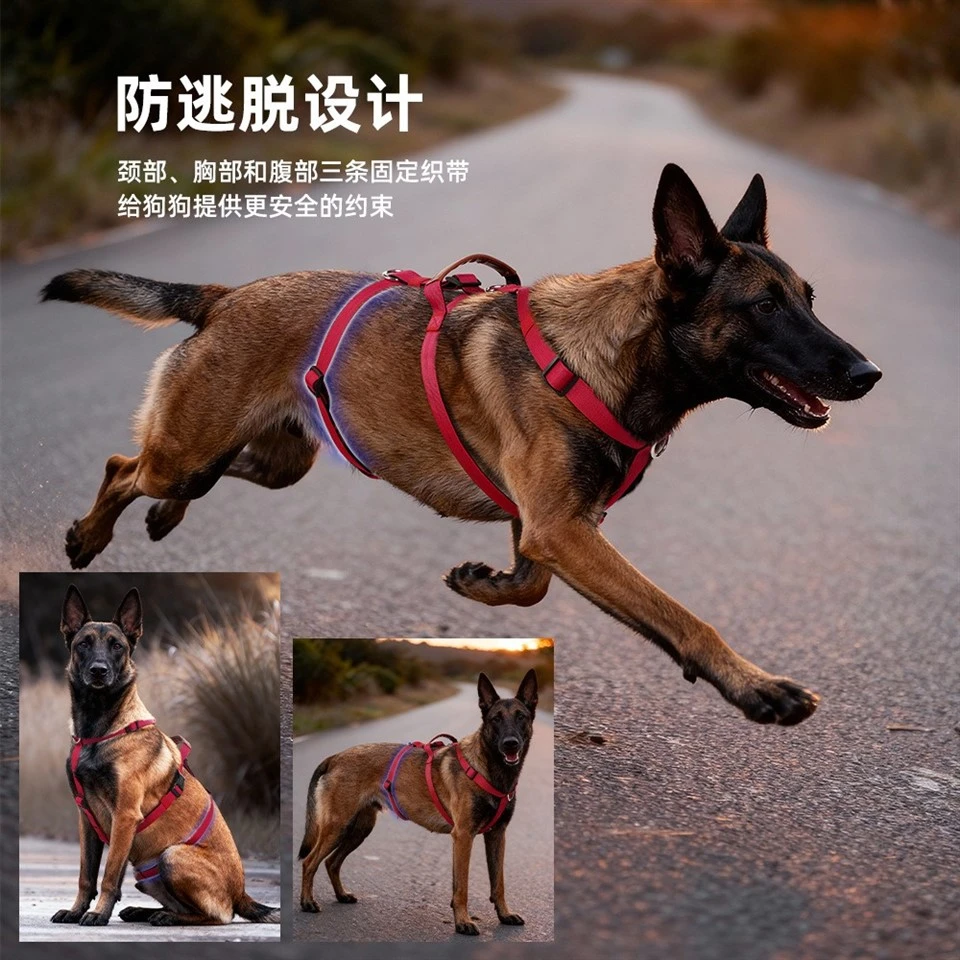 Lightweight Dog Walking Harness factory