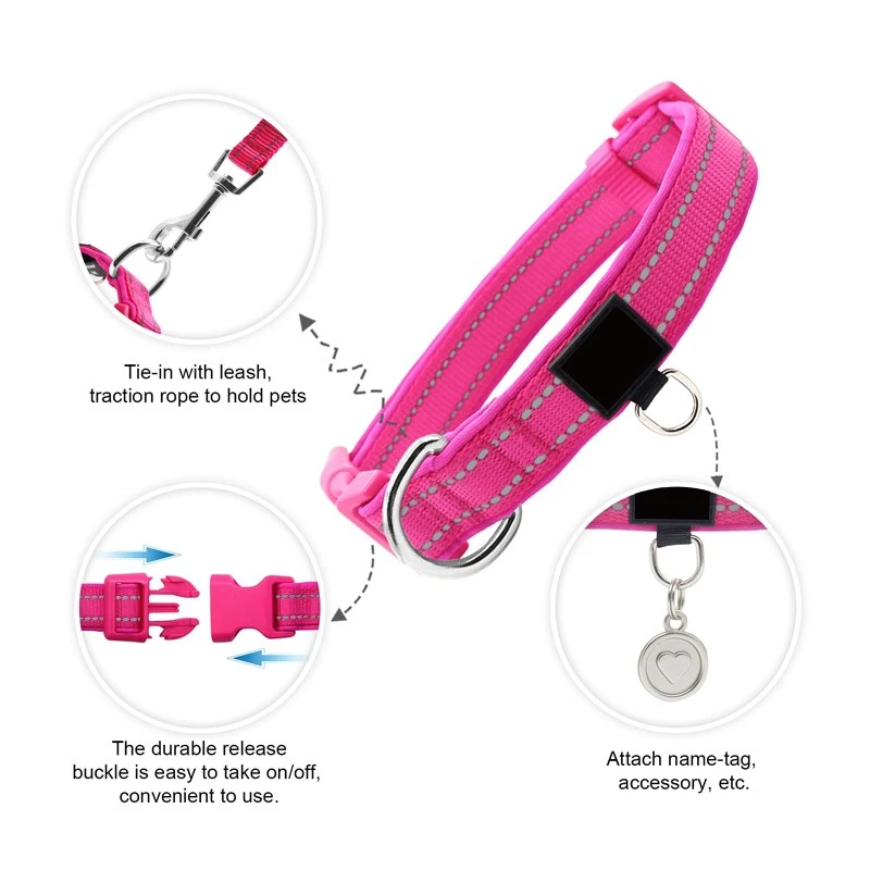 Padded Dog Collars