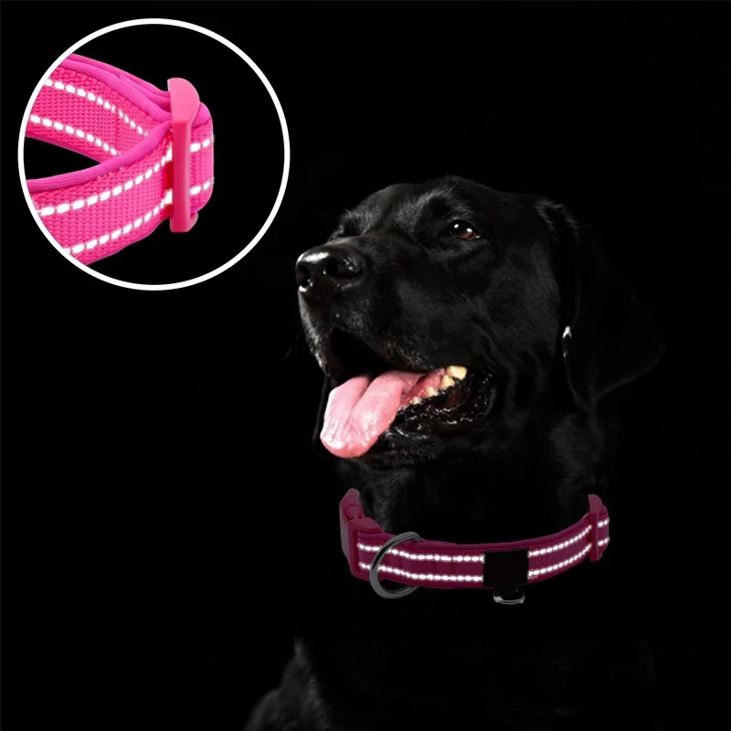 Padded Dog Collars