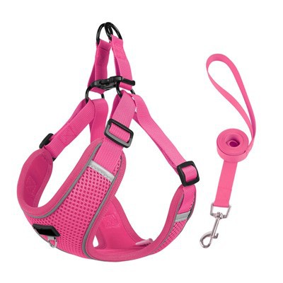 Mrežasti pasji pas in povodec