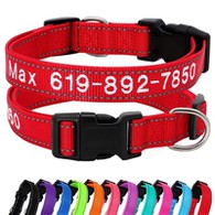 Personalizirana vezena pasja ovratnica