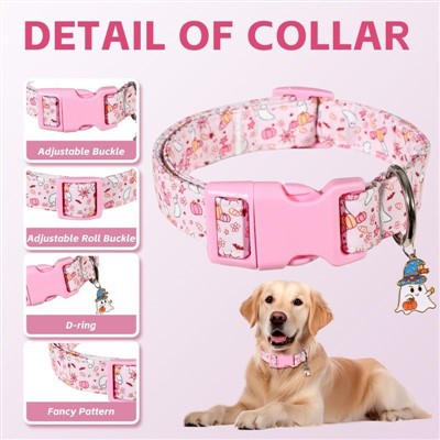 Premium Adjustable Dog Collar