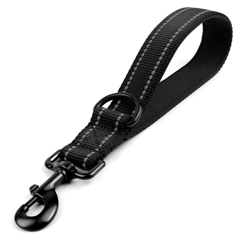 Traffic Dog Leash best